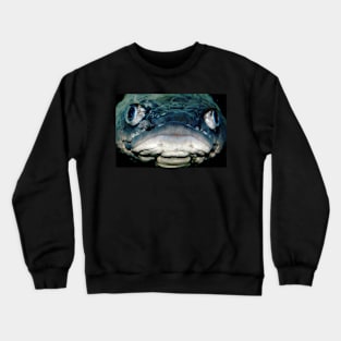 Grumpy Fish Crewneck Sweatshirt